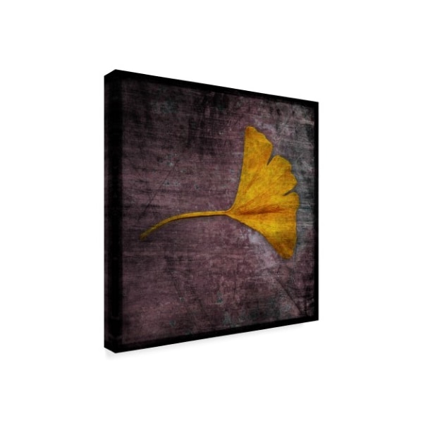 John W. Golden 'Gingko Purple' Canvas Art,24x24